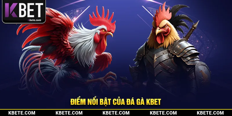 Điểm nổi bật của đá gà kbet