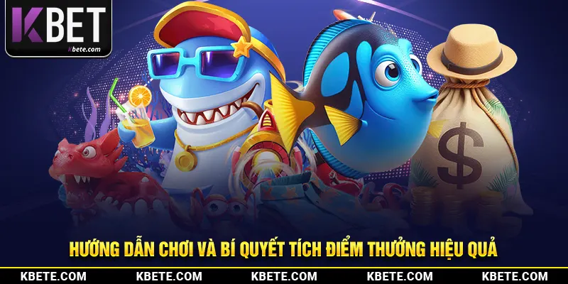 Hướng dẫn chơi và bí quyết tích điểm thưởng hiệu quả