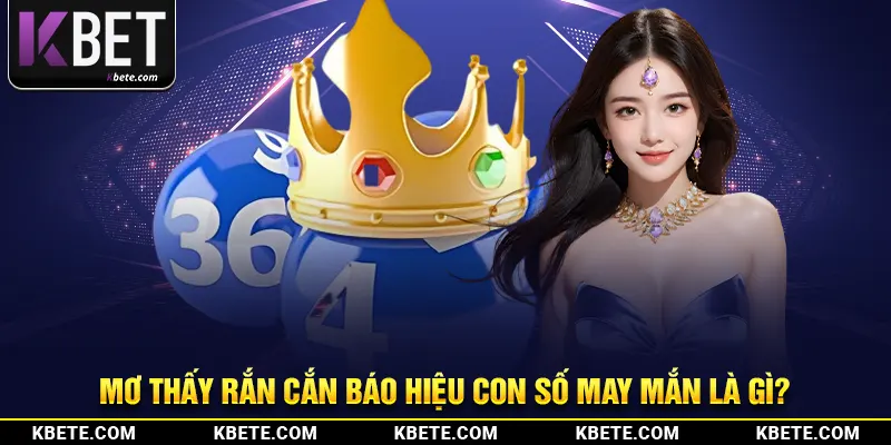 Mơ thấy rắn cắn báo hiệu con số may mắn là gì?