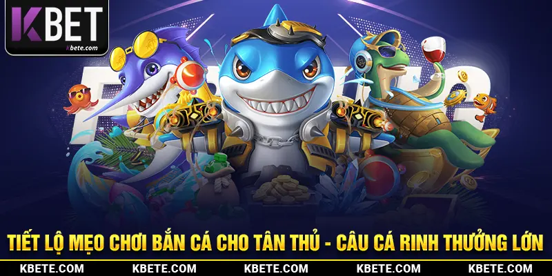 Tiết Lộ Mẹo Chơi Bắn Cá Cho Tân Thủ - Câu Cá Rinh Thưởng Lớn