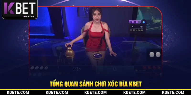 Tổng quan sảnh chơi xóc dĩa kbet