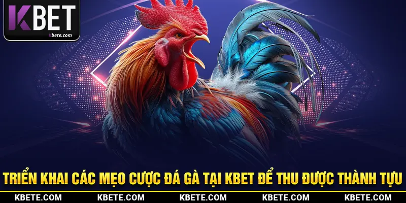 Triển khai các mẹo cược đá gà tại kbet để thu được thành tựu